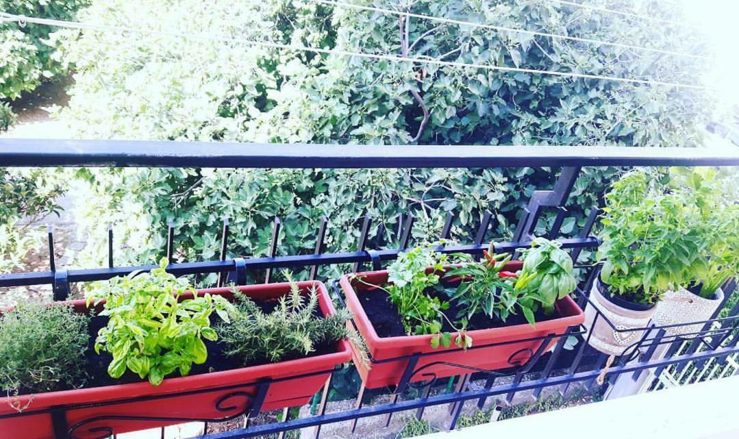 Casa Luisa Bed & Breakfast Salerno Dış mekan fotoğraf