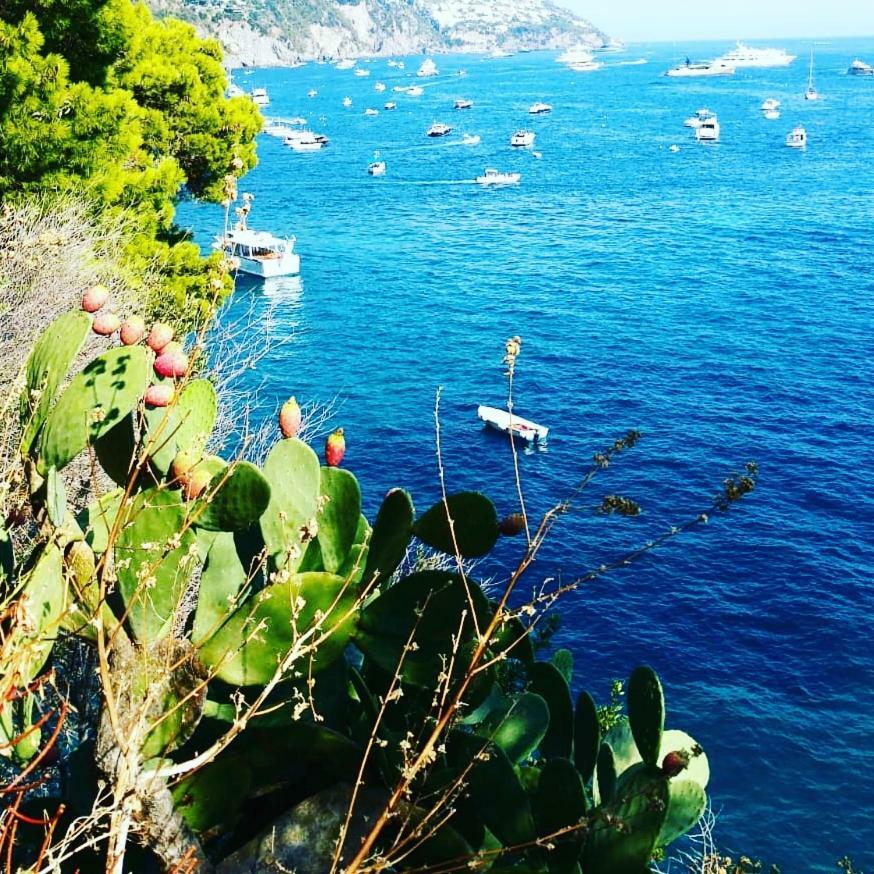 Casa Luisa Bed & Breakfast Salerno Dış mekan fotoğraf